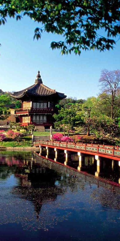 korea s2